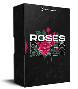 rosee ＜echo＞PROJECT Socket Man | Echo Project Wiki | Fandom